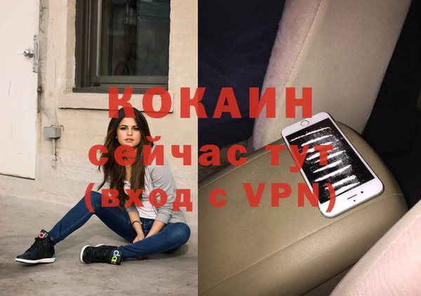 mix Бородино