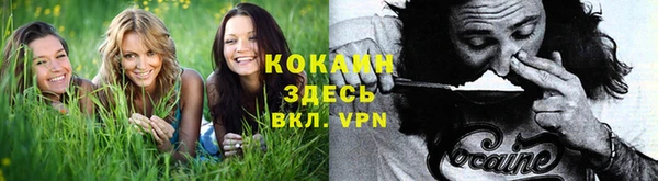 mix Бородино